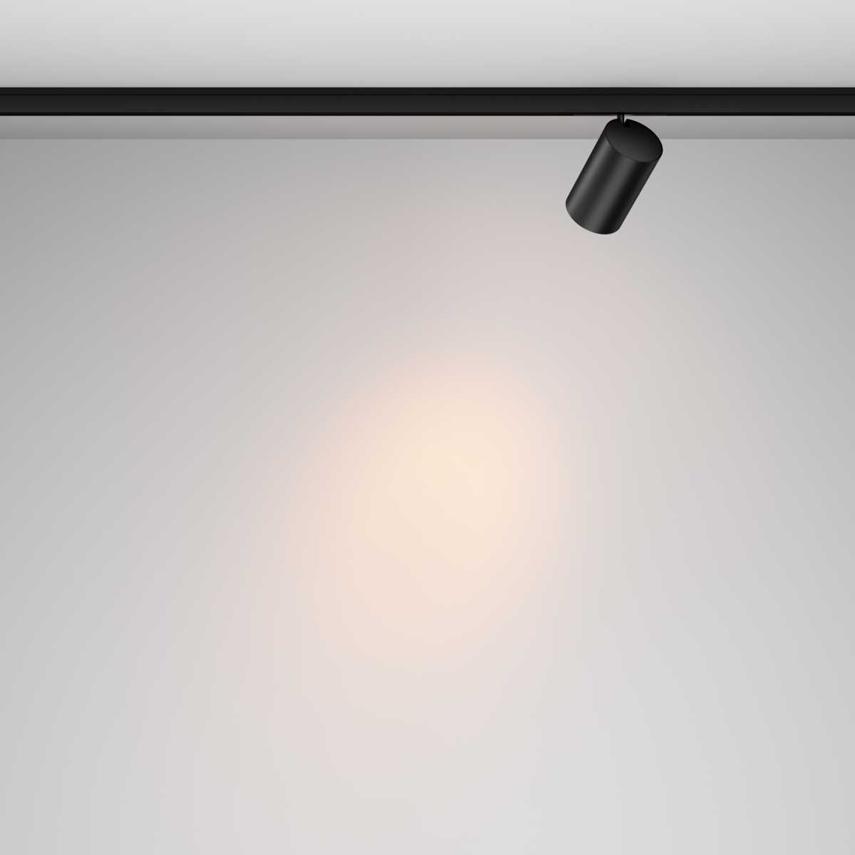 Трековый светильник Maytoni Technical Focus Led TR187-1-9W2.7K-M-B