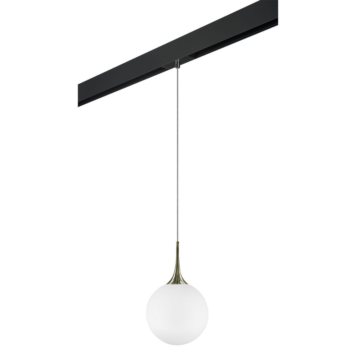 Комплект с трековым светильником Lightstar Globo (813031+595007) PRO813031