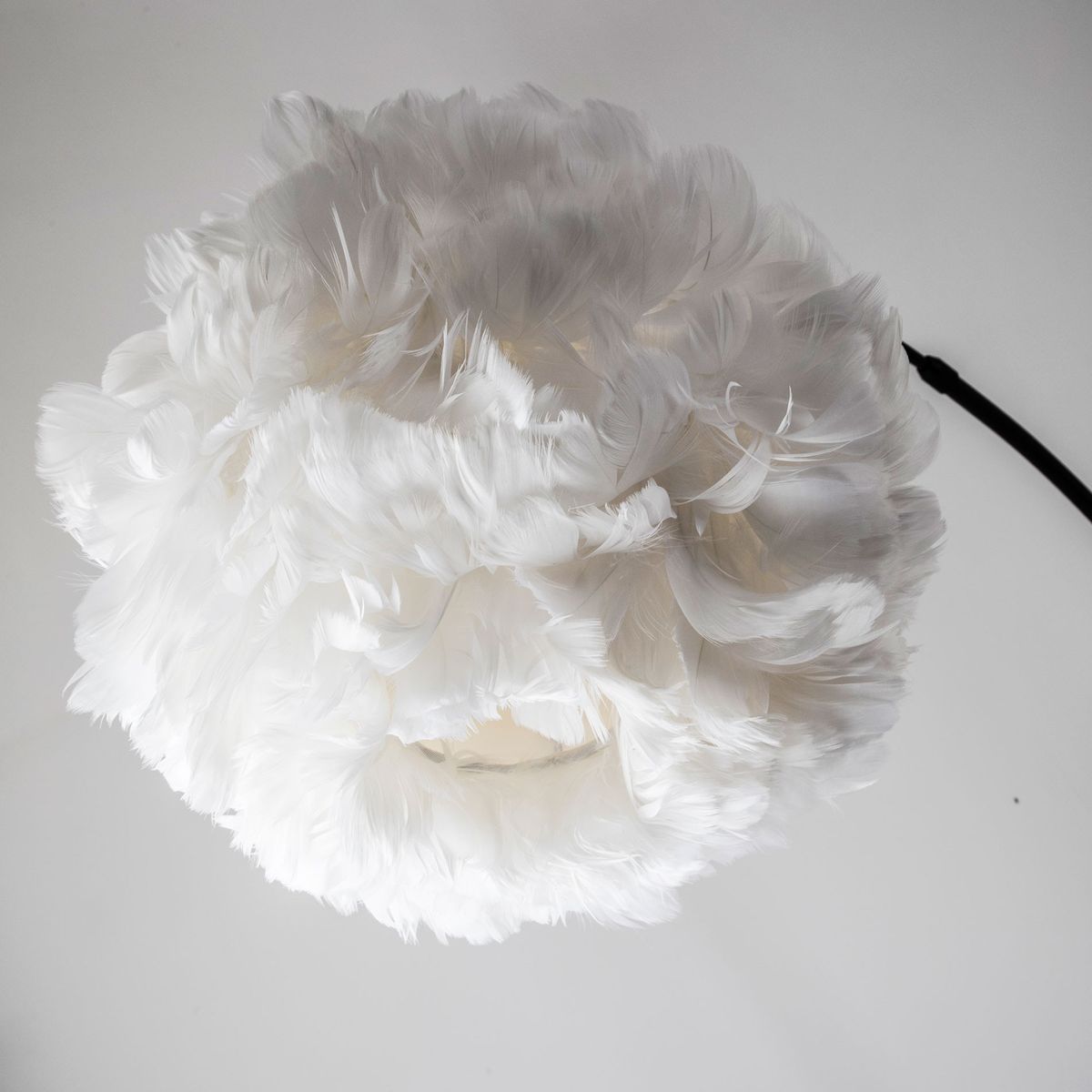 Торшер Modelux Modestyle MS.3108.01FL