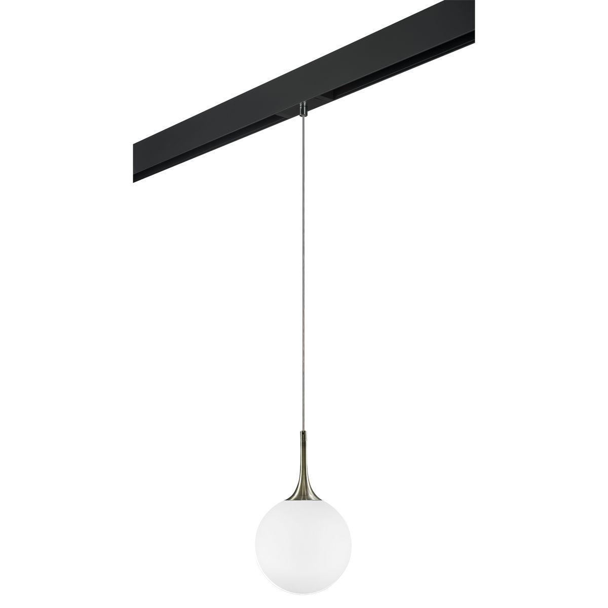 Комплект с трековым светильником Lightstar Globo (813021+595007) PRO813021